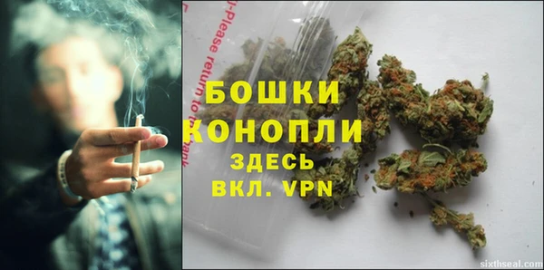 крисы Горняк