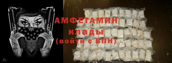 крисы Горняк