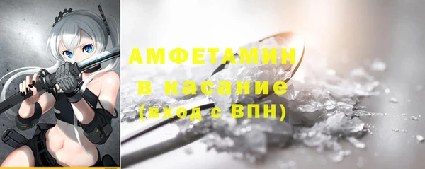 крисы Горняк