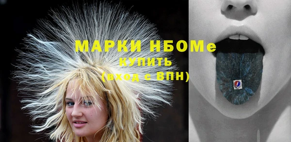 крисы Горняк