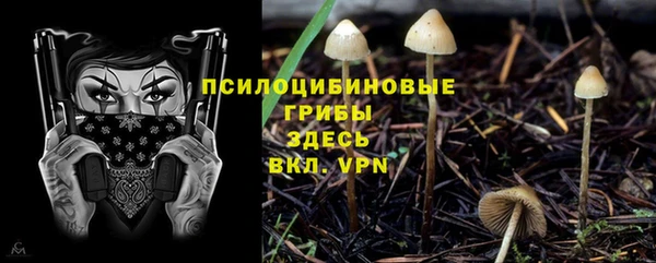 синтетический гашиш Горнозаводск