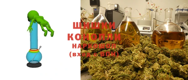 крисы Горняк