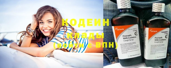 крисы Горняк
