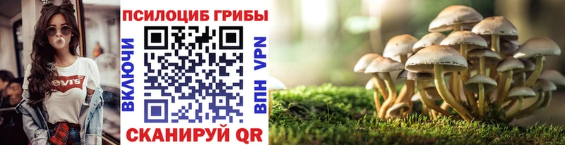 Галлюциногенные грибы MAGIC MUSHROOMS  даркнет сайт  Северск 